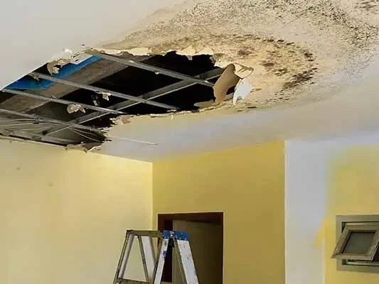 Ceiling Water Leak Repair