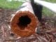 French Drain Repair