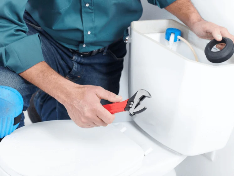 Toilet Repair