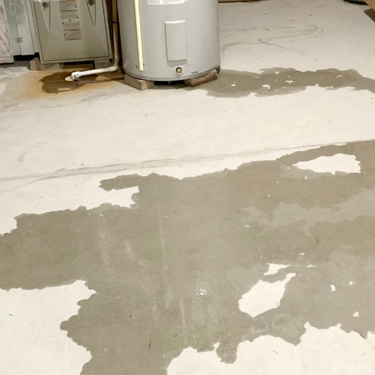 Leak Detection Services in Richardson, TX