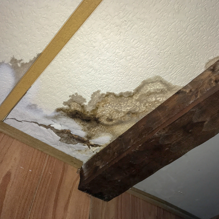 Leak Detection Services in Richardson, TX