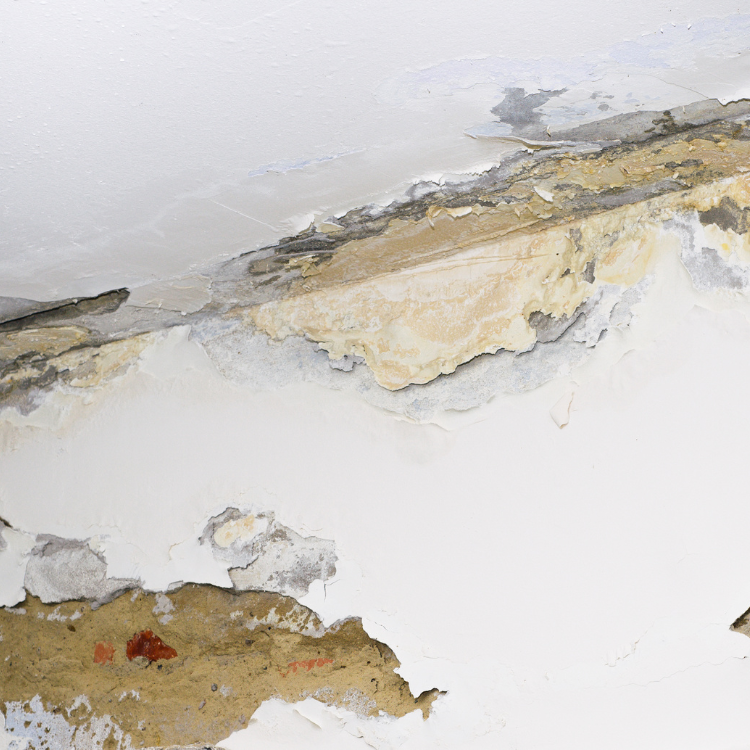 Leak Detection Services in Richardson, TX