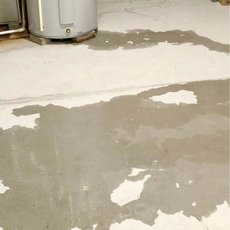 Leak Detection Services in Richardson, TX