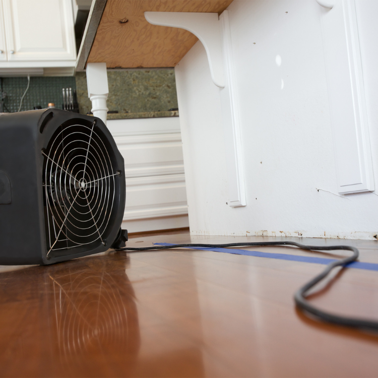 Leak Detection Services in Richardson, TX
