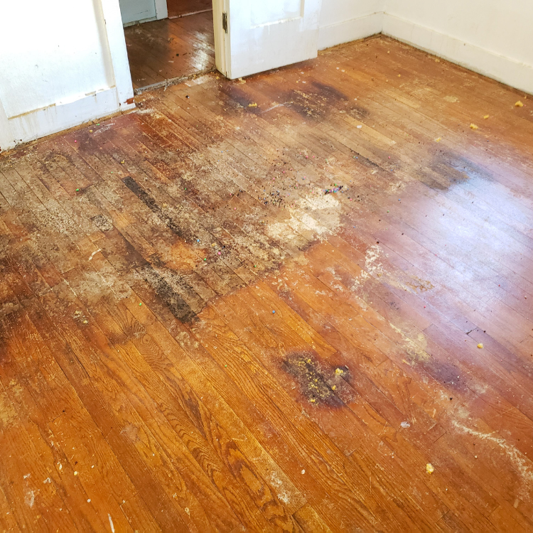 Plumber Technicians Specializing In Slab Leak Repair