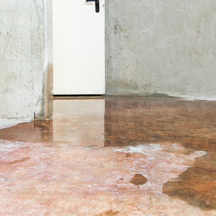 Leak Detection Services in Richardson, TX