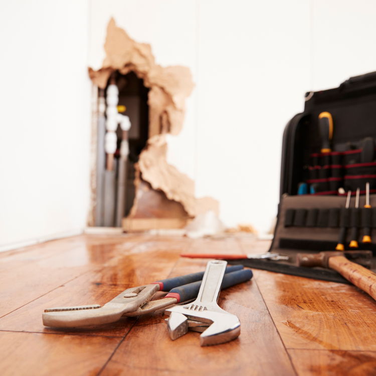 Leak Detection Services in Richardson, TX