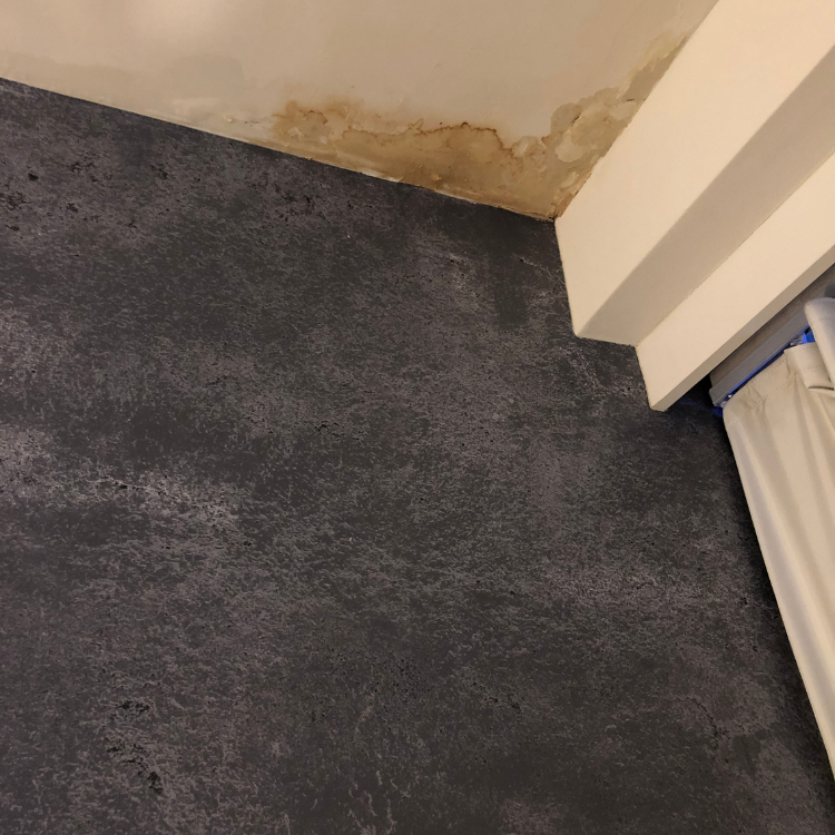 Leak Detection Services in Richardson, TX