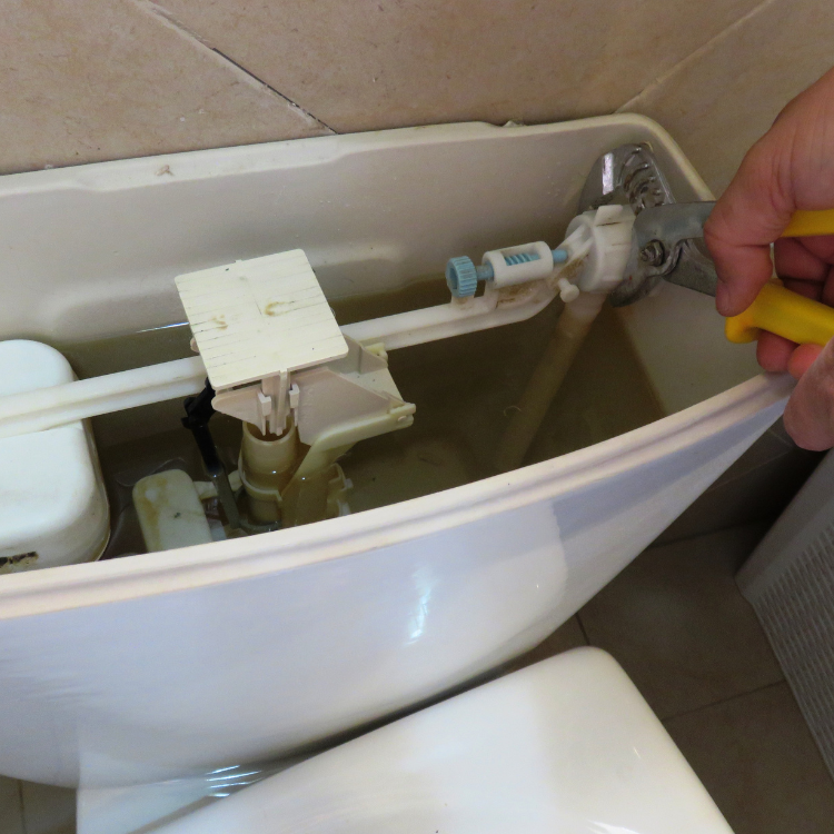 Leak Detection Services in Richardson, TX