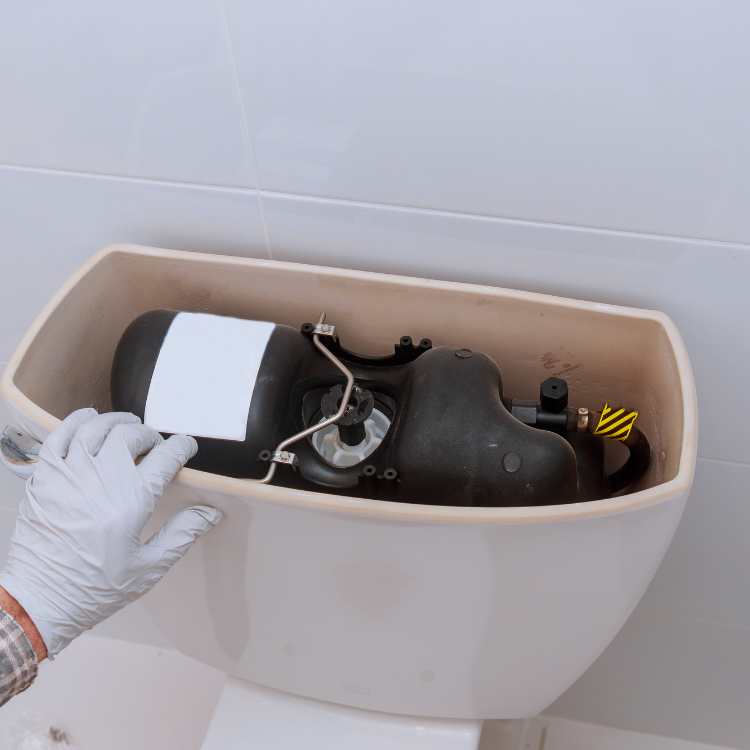 Leak Detection Services in Richardson, TX