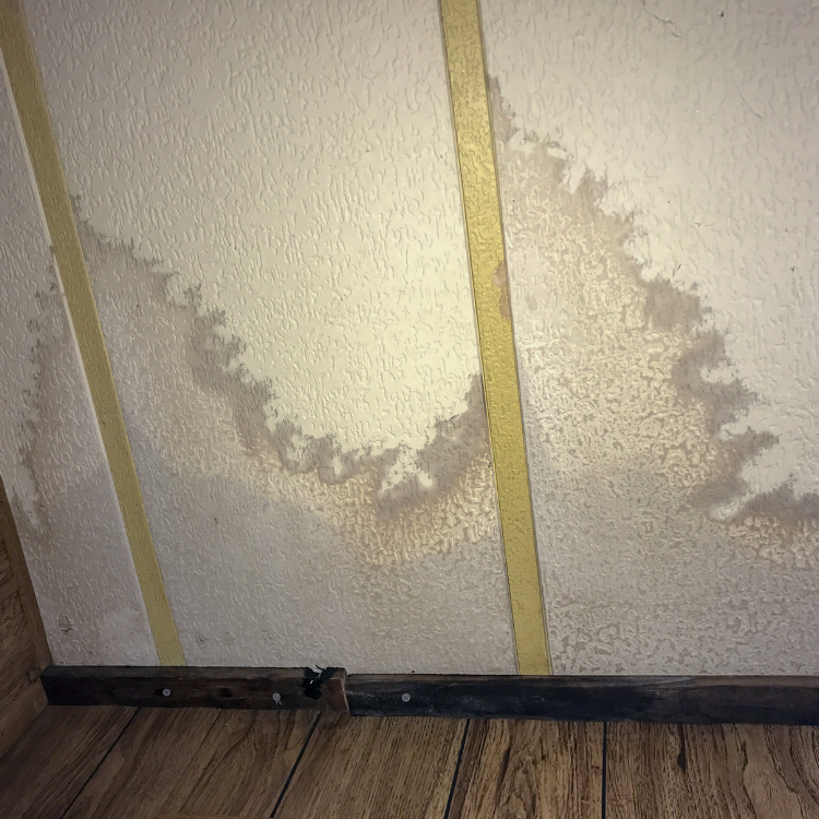 Leak Detection Services in Richardson, TX