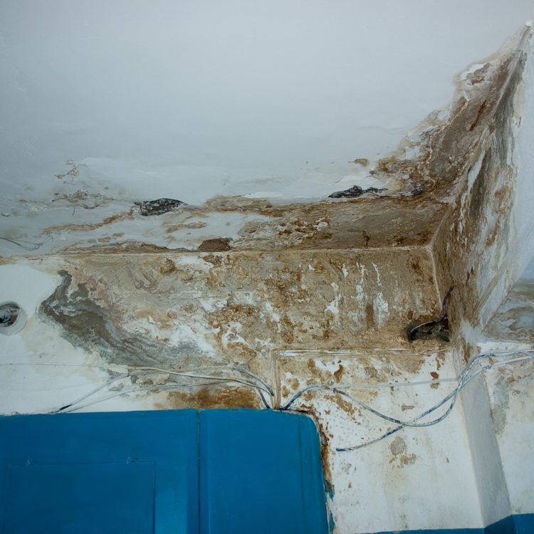 Uncover Hidden Leak Detection Techniques Here