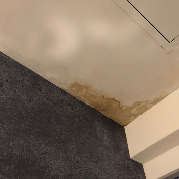 Leak Detection Services in Richardson, TX