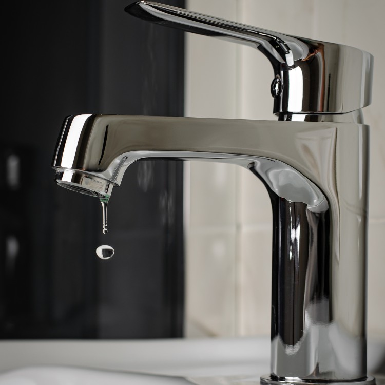 Leak Detection Services in Richardson, TX