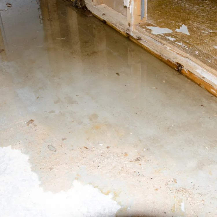 Leak Detection Services in Richardson, TX