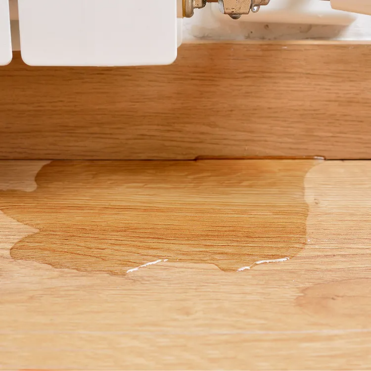 Leak Detection Services in Richardson, TX