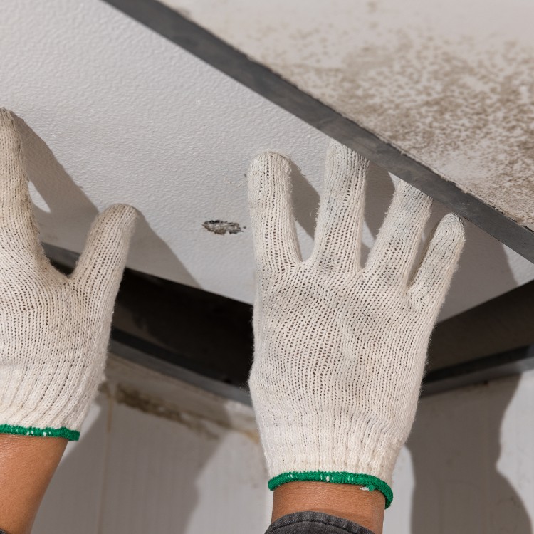 Leak Detection Services in Richardson, TX